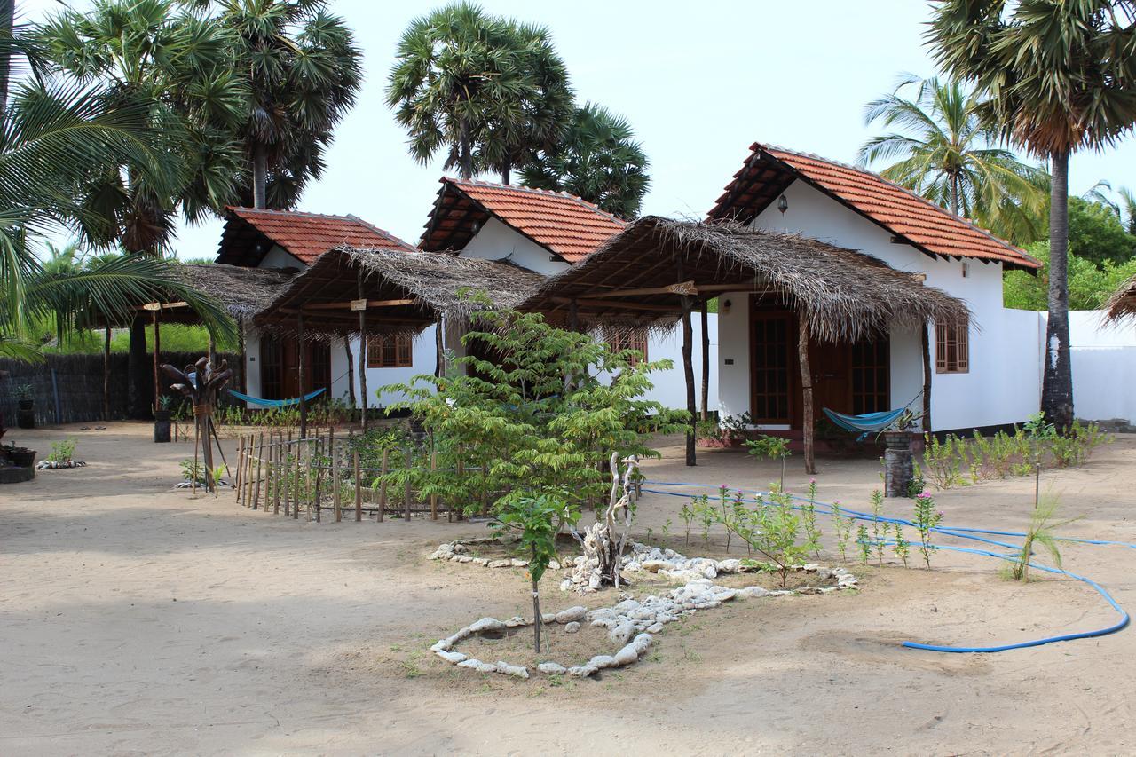 Margarita kitesurfing school Sri Lanka Hotel Kalpitiya Bagian luar foto